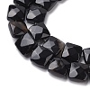 Natural Black Agate Beads Strands G-K359-B13-01-4