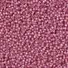 MIYUKI Round Rocailles Beads SEED-JP0009-RR0556-4