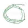 Natural Green Strawberry Quartz Beads Strands G-G106-A12-01-2