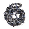 Natural Sodalite Beads Strands G-P530-A01-01-4