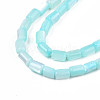 Natural Trochid Shell/Trochus Shell Beads Strands SHEL-N003-26-B09-3