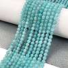 Natural Amazonite Beads Strands G-M438-A07-01-2
