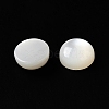 Natural White Shell Cabochons SSHEL-M022-01B-2