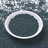 MIYUKI Round Rocailles Beads X-SEED-G010-RR4516-2