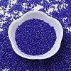 MIYUKI Delica Beads SEED-X0054-DB0216-2