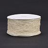 20 Yards Polyester Mesh Ribbon SRIB-P021-E07-2