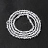 Natural Quartz Crystal Beads Strands G-I341-07A-4