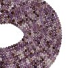 Natural Purple Phantom Quartz/Purple Lodolite Quartz Beads Strands G-L661-A01-5mm-3