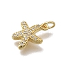 Brass Micro Pave Clear Cubic Zirconia Charms KK-D431-053B-G-2