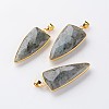 Mixed Shapes Natural Labradorite Pendants G-M294-M-2