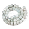 Dyed Natural White Jade Beads Strands G-T138-S20-2