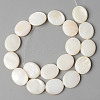 Natural Freshwater Shell Beads Strands X-SHEL-N026-70-2