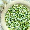 Mixed Style Glass Seed Beads PW-WG6375C-09-1