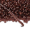 TOHO 6/0 Round Beads X-SEED-TR06-0746-2