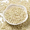 Glass Seed Beads SEED-K009-02B-08-2