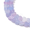 Handmade Lampwork Beads Strands LAMP-Q035-01Q-3