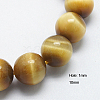 Natural Yellow Tiger Eye Beads Strands G-G212-10mm-18-1