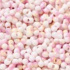 Baking Paint Glass Seed Beads SEED-F005-01A-11-3