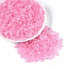 Transparent Inside Colours Glass Seed Beads SEED-T007-11H-3