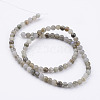 Natural Labradorite Bead Strands G-K152-03-4mm-1