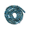 Natural Apatite Beads Strands G-G189-D16-02-3