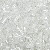 Two Cut Glass Seed Beads X-CSDB101-1