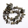 Labradorite Beads Strands G-O051-08-2