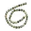 Natural African Turquoise(Jasper) Beads Strands G-I376-D29-01-2