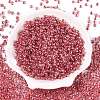 6/0 Transparent Inside Colours Glass Seed Round Beads SEED-N006-004L-2