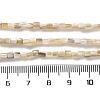 Natural Freshwater Shell Beads Strands X-SSHEL-B002-17-4
