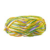 Light Gradient Segment Dyed Polyester Yarn DIY-TADJ0002-005A-1