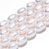 Natural Cultured Freshwater Pearl Beads Strands PEAR-N012-07J-4