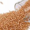 TOHO Round Seed Beads SEED-JPTR11-0923-1