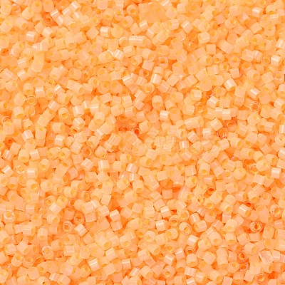 MIYUKI Delica Beads SEED-J020-DB1855-1