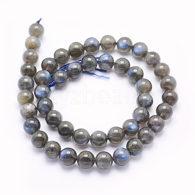Natural Labradorite Beads Strands G-O166-08-8mm-1