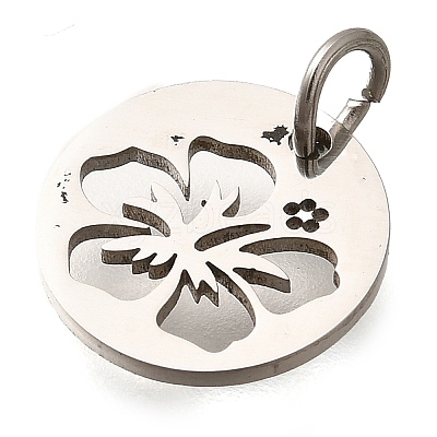 304 Stainless Steel Charms LS-STAS-Z119-14P-1
