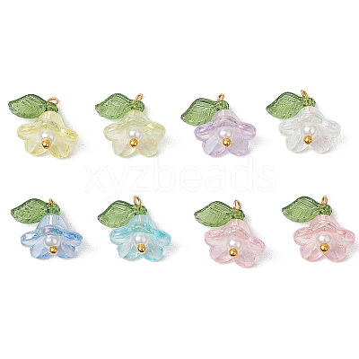 10 Sets Acrylic Charms FIND-SC0016-67-1