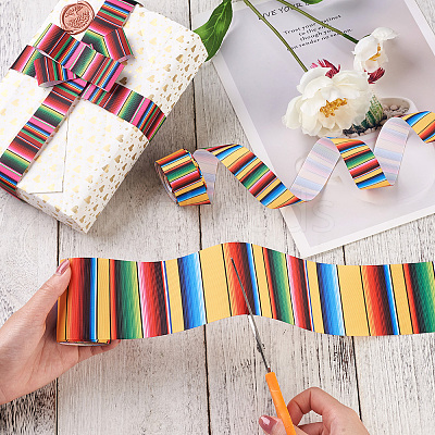 2Rolls 2 Styles Stripe Pattern Printed Polyester Grosgrain Ribbon OCOR-TA0001-37F-1