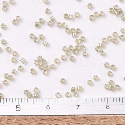 MIYUKI Delica Beads SEED-X0054-DB1766-1