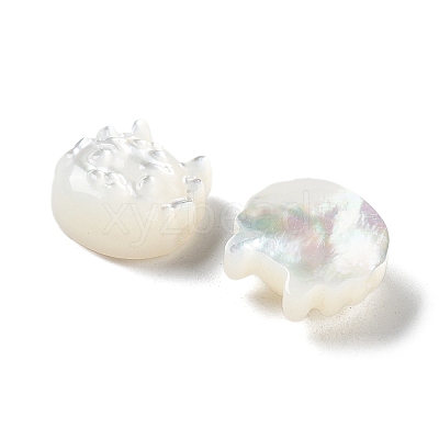 Natural White Shell SHEL-M020-03A-1