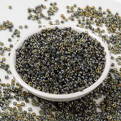 MIYUKI Round Rocailles Beads X-SEED-G008-RR4551-1