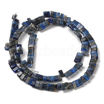 Natural Lapis Lazuli Beads Strands G-Z045-A11-01-1