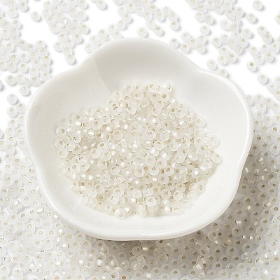 8/0 Glass Seed Beads SEED-Z001-C-E08-1