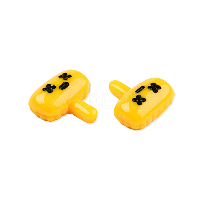Opaque Resin Pendants CRES-N021-160-1