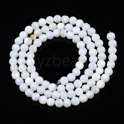 Natural Freshwater Shell Beads Strands BSHE-T009B-01A-1