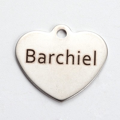 Non-Tarnish 201 Stainless Steel Heart Pendants LS-STAS-L165-A01-1