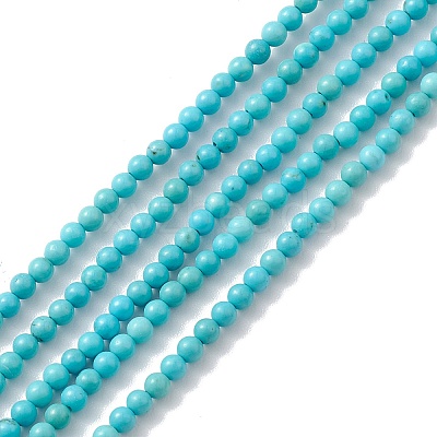 Natural Howlite Beads Strands TURQ-K005-01A-1