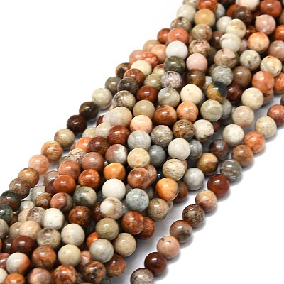 Natural Fossil Coral Beads Strands G-E576-03A-1