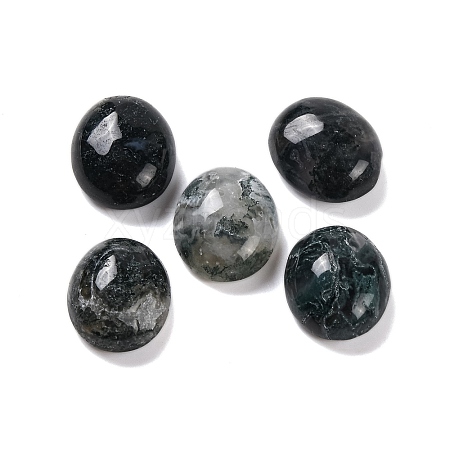 Natural Moss Agate Cabochons G-B085-06A-02-1