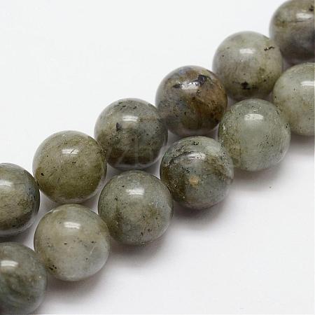 Natural Labradorite Bead Strands G-O155-05B-4mm-1